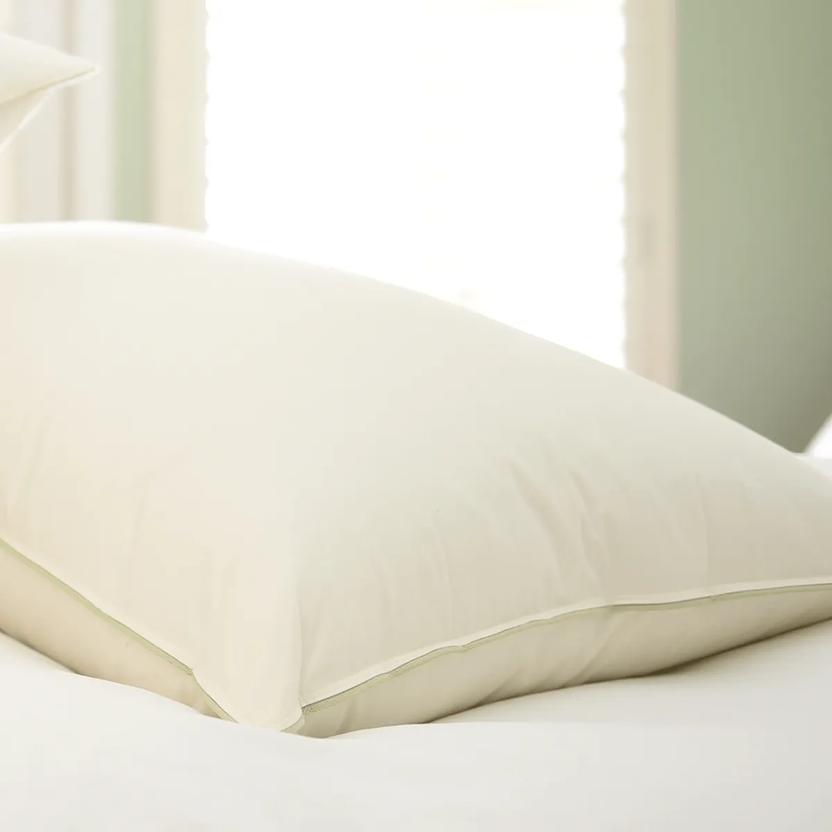 Natural Nights® 750 Goose Down Pillow King Size - Soft