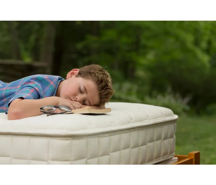 Naturepedic Verse Organic Mattress