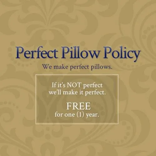 Snuggle Soft 850 Goose Down Pillow King Size - Extra Firm