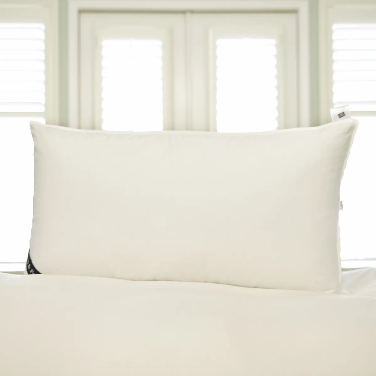 Snuggle Soft 850 Goose Down Pillow King Size - Extra Firm