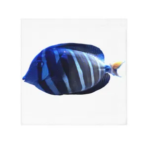 Striped Fish Face Towel